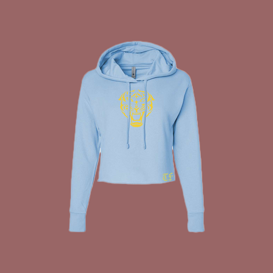 Light Blue Crop Hoodie